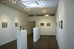 gallery - Installation view