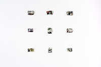 index whole